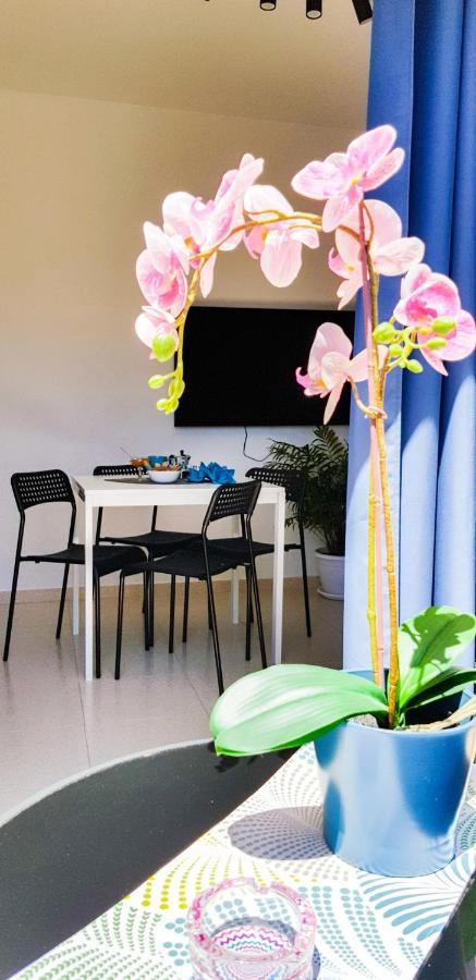 Ke Casetta Tenerife Salvador And Santiago Apartments Las Rosas  Exterior photo